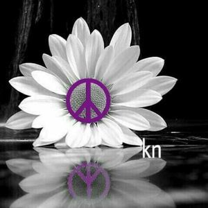 Meet your Posher, Bobbi ann